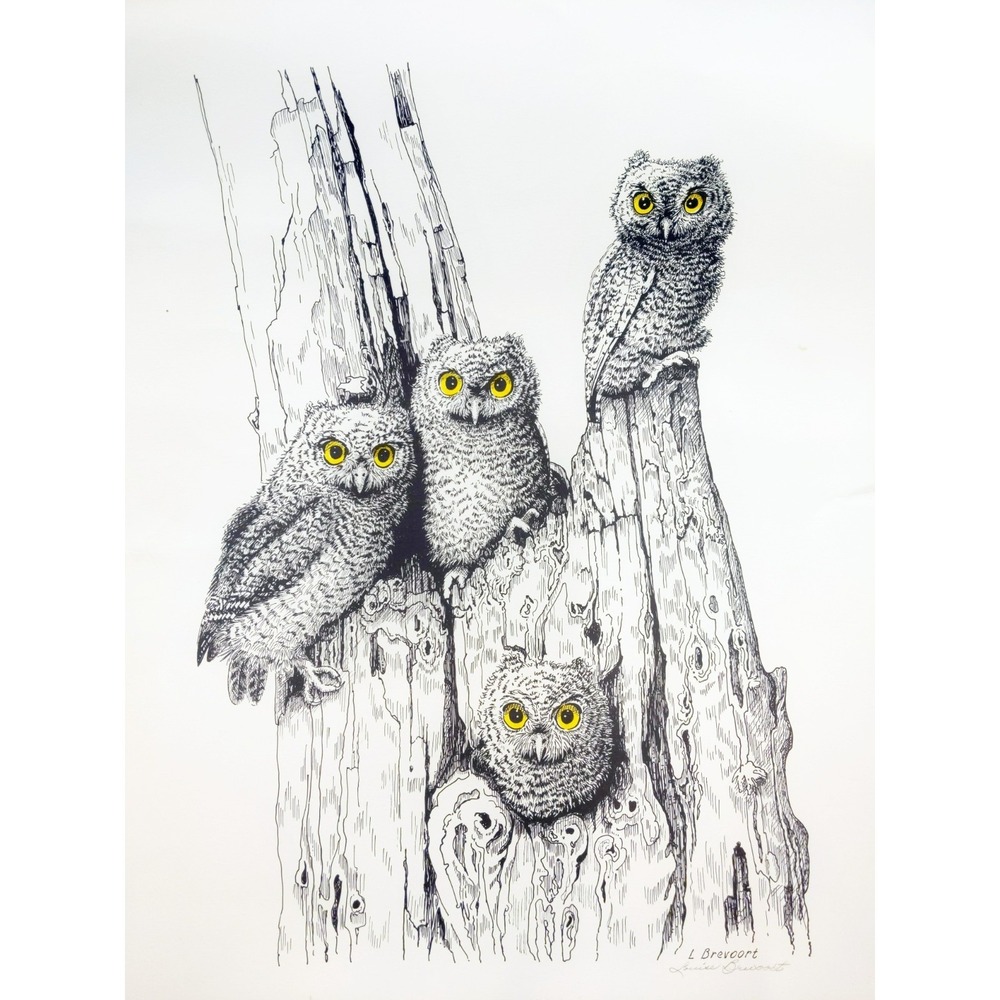 Vintage 1979 Louise‎ Brevoort Signed Lithograph Horned Owls Unframed